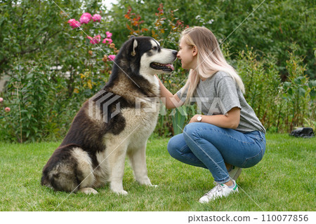 A girl with a dog A girl with a dog 110077856