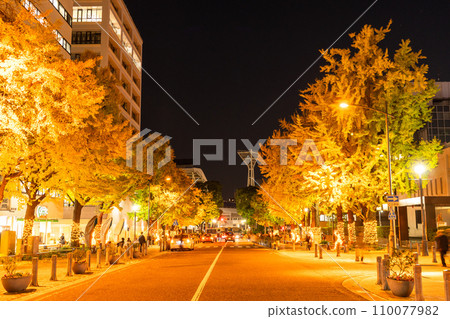 《Kanagawa Prefecture》Night view of Yokohama Nihon Odori Street, row of ginkgo trees with yellow leaves 《Kanagawa Prefecture》Night view of Yokohama Nihon Odori Street, row of ginkgo trees with yellow leaves 110077982