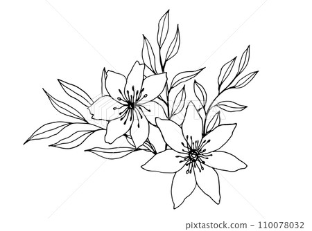 vector composition with flower, leaves and branche. Elegant art for decoration. ink hand drawing monochrome botanical illustration for backgrounds. Temlate for wedding cards, polygraphy, logo, tattoo. vector composition with flower, leaves and branche. Elegant art for decoration. ink hand drawing monochrome botanical illustration for backgrounds. Temlate for wedding cards, polygraphy, logo, tattoo. 110078032