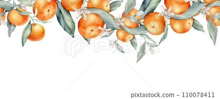 Watercolor seamless border illustration orange tangarine and green leaves isolated on white background. Element hand painted natural plant twigs with fresh citrus fruits for design. Mandarin branches 110078411
