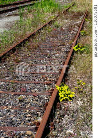 Old Rusty Rails On Unused Railroad Overgrown With Grass And Shrubs 110078581