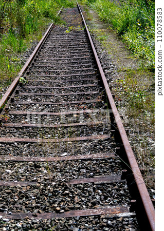 Old Rusty Rails On Unused Railroad Overgrown With Grass And Shrubs Old Rusty Rails On Unused Railroad Overgrown With Grass And Shrubs 110078583