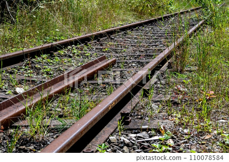 Old Rusty Rails On Unused Railroad Overgrown With Grass And Shrubs Old Rusty Rails On Unused Railroad Overgrown With Grass And Shrubs 110078584