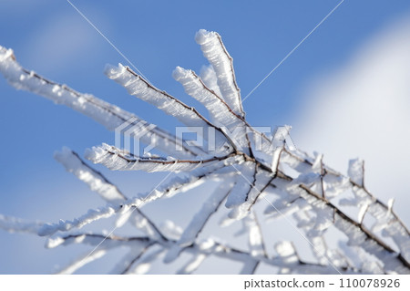 Shrimp tail rime ice 110078926