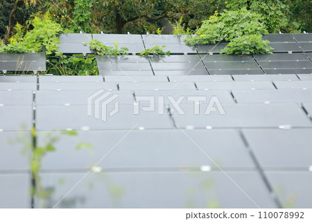 Grass growing through the gap between solar panels 110078992