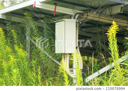 雜草叢生的太陽能發電廠 雜草叢生的太陽能發電廠 110078994
