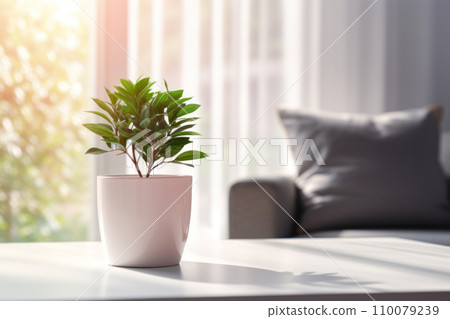 Green plant in interior design of modern living room with minimalist furniture 110079239