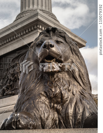 One of the four landseer bronze lions statue at the base of Nelson's column in front of National Gallery building. 110079392