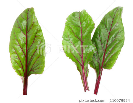 fresh beet leaf isolated on white background 110079934