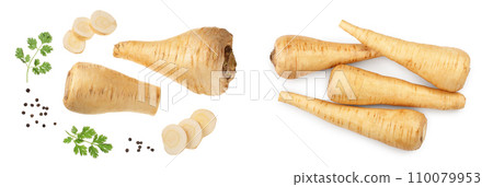Parsnip root and slices with parsley peppercorns isolated on white background closeup. Top view. Flat lay Parsnip root and slices with parsley peppercorns isolated on white background closeup. Top view. Flat lay 110079953