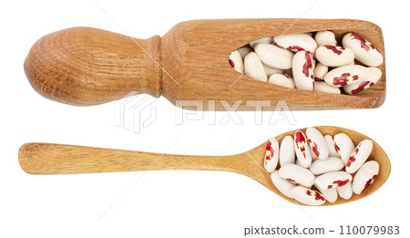 variegated kidney bean in wooden spoon isolated on white background. Top view. Flat lay 110079983