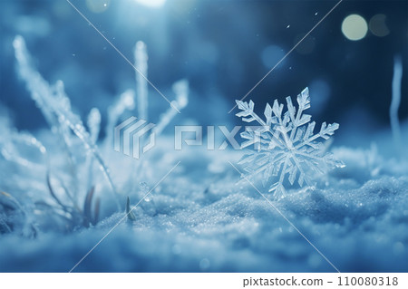 Crystal of snow	 110080318