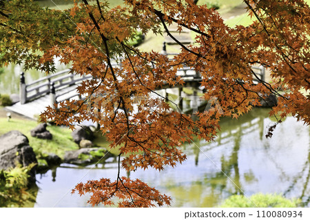 金澤城堡Tamsenin Maru花園裡的秋葉 金澤城堡Tamsenin Maru花園裡的秋葉 110080934