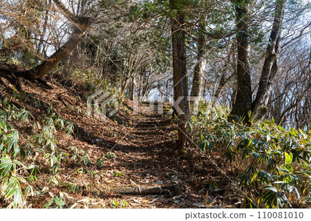 Winter Satoyama Mountain Trail - Straight Climb 110081010