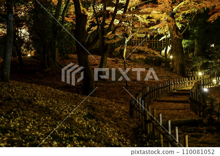 深秋的兼六園，燈飾美麗 110081052