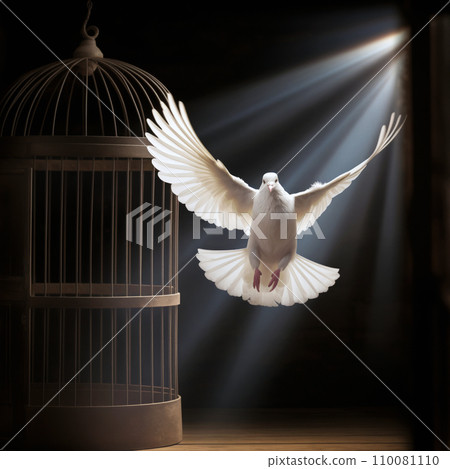 Symbol of freedom, a white dove with outstretched wings flies towards the light 110081110