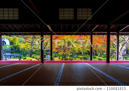 圓光寺秋葉園風景京都府京都市 圓光寺秋葉園風景京都府京都市 110081815