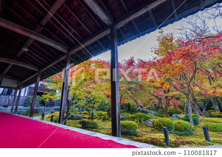 圓光寺秋葉園風景京都府京都市 圓光寺秋葉園風景京都府京都市 110081817