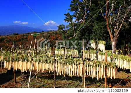 Dried radish and Mt. Fuji Dried radish and Mt. Fuji 110082169