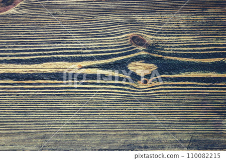 Wooden surface. Wood texture. Wood fibers. Wooden surface. Wood texture. Wood fibers. 110082215