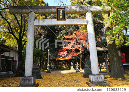 Village Shrine Late Autumn Shinmeisha Tokorozawa City 110082329