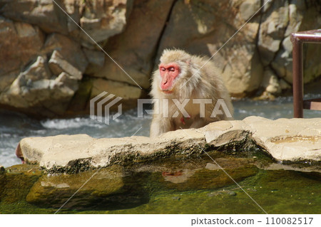 Jigokudani Monkey Park scenery 110082517
