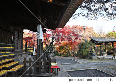 Tamonin Bishamondo 秋葉風景 所澤市 Tamonin Bishamondo 秋葉風景 所澤市 110082819