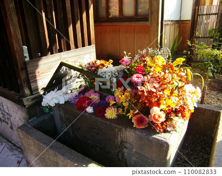 Tofukuji sub-temple Shorinji Tofukuji sub-temple Shorinji 110082833