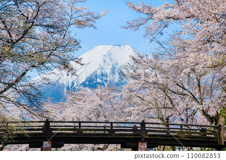 櫻花與富士山 忍野村/品莊川 110082853