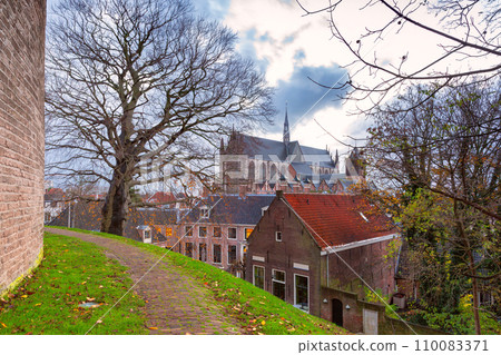 Pieterskerk in Leiden, Netherlands 110083371