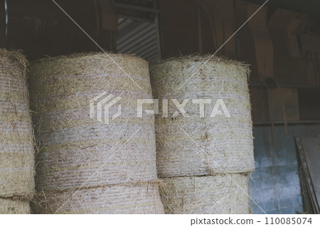 牛棚 大農場 牧場 110085074