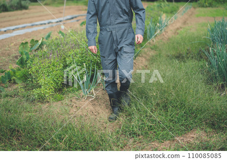 field, gents, male 110085085