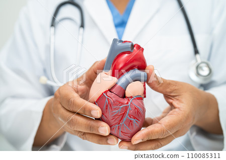 Cardiovascular disease CVD, Asian doctor holding human anatomy model for learn and treat heart disease. 110085311