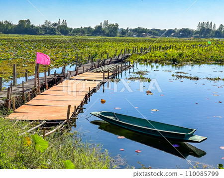 Gae Dam wooden bridge in Roi Et, Thailand Gae Dam wooden bridge in Roi Et, Thailand 110085799