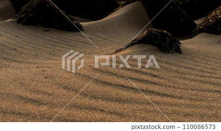 自然形態:沙灘上的風波紋 自然形態:沙灘上的風波紋 110086573