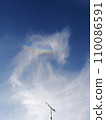 Rainbow dragon 110086591