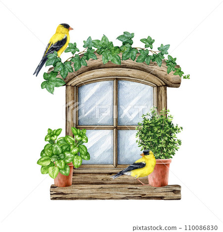 Rustic wooden village window with flower pots and couple of birds on it. Hand drawn vintage style watercolor illustration. Old countryside window with ceramic flower pots decor element isolated Rustic wooden village window with flower pots and couple of birds on it. Hand drawn vintage style watercolor illustration. Old countryside window with ceramic flower pots decor element isolated 110086830