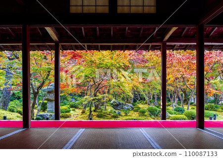 圓光寺秋葉園風景京都府京都市 110087133