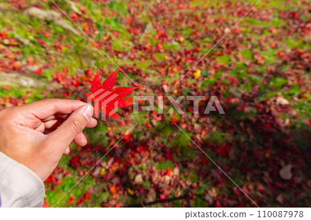 左手捧著秋葉[秋天圖] 110087978