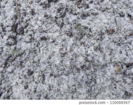 Texture of fallen snow on objects 110088567
