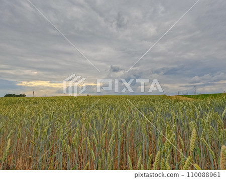 Amber Waves and Brooding Skies Amber Waves and Brooding Skies 110088961
