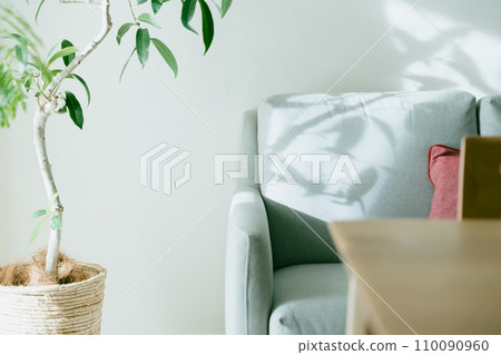Sofa and ornamental plants illuminated by light Sofa and ornamental plants illuminated by light 110090960