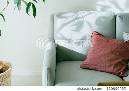 Sofa and ornamental plants illuminated by light 110090965