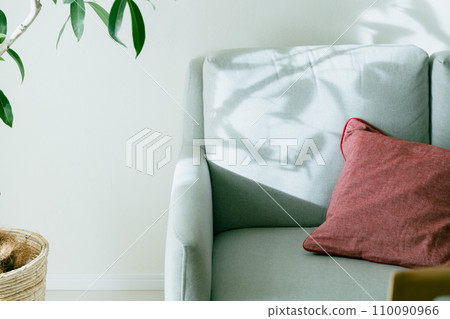 Sofa and ornamental plants illuminated by light 110090966