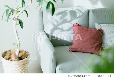 燈光照亮的沙發和觀賞植物 110090971