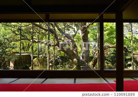 京都市大原之鄉寶泉院的框架花園，綠意盎然 110091889