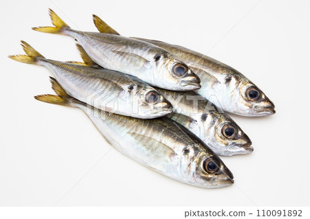 竹莢魚(超新鮮) 竹莢魚(超新鮮) 110091892