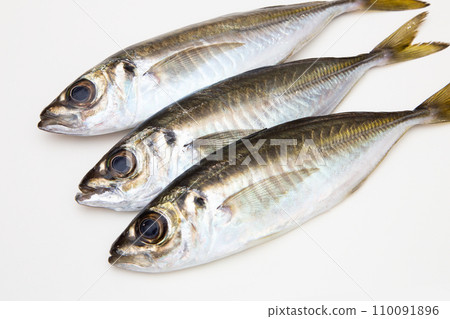 竹莢魚(超新鮮) 竹莢魚(超新鮮) 110091896