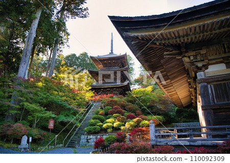 香南三山常樂寺的秋天 110092309