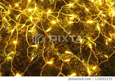 Christmas New Year glowing golden garland hang over bush. Outdoor winter decoration. Festive design of city square. Bokeh flickering light bulbs. Festival Noel xmas good mood. Sremska Mitrovica Serbia Christmas New Year glowing golden garland hang over bush. Outdoor winter decoration. Festive design of city square. Bokeh flickering light bulbs. Festival Noel xmas good mood. Sremska Mitrovica Serbia 110093253